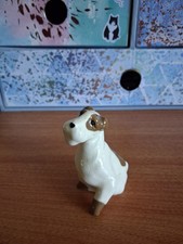 Szeiler brown white for sale  CHRISTCHURCH