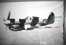 Curtiss warhawk flown for sale  Broomfield