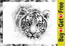 Tiger portrait print for sale  PORTSMOUTH