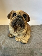 Bull dog pup for sale  Middlesex