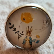 Ster hase blume gebraucht kaufen  Gotha