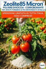 20kg zeolite potenzia usato  Brindisi