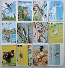 americana sammelbilder gebraucht kaufen americana sammelbilder gebraucht kaufen Arzberg