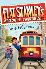 Flat stanley worldwide for sale  Montgomery