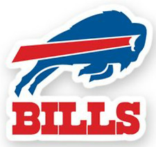 Buffalo bills football for sale  White Lake