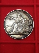 Argento medaglia comizio usato  Frattamaggiore