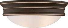Westinghouse lighting 63706 usato  Monteprandone