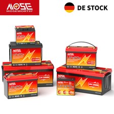 LiFePO4 12V 24V 25Ah 50Ah 60Ah 100Ah 200Ah 300Ah Bateria litowa BMS RV Solar na sprzedaż  Wysyłka do Poland