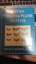 British pyralid plume for sale  BECCLES