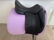 Amerigo vega dressage for sale  West New York