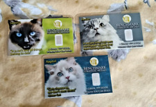 pedigree cats for sale pedigree cats for sale HOVE