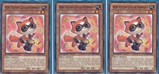 Baby raccoon ponpoko d'occasion  Expédié en Belgium