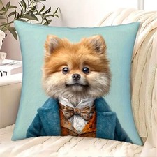 Housse coussin liquidation d'occasion Housse coussin liquidation d'occasion  Cergy-