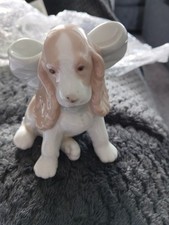 Nao puppy present for sale  PETERLEE