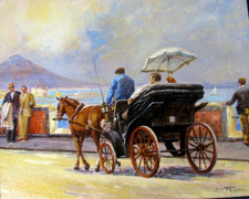 Elio ferrara collection usato  Reggio Calabria