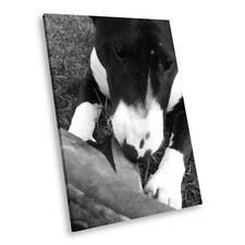 A152 black white for sale  STRABANE