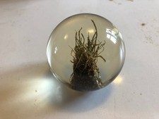 Wembley turf commemorative for sale  AYLESBURY