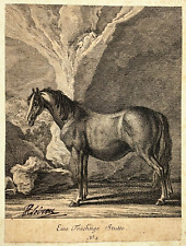 Cheval eine trachtige d'occasion  Pluvigner