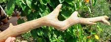 Schön geformtes treibholz gebraucht kaufen  Freilassing