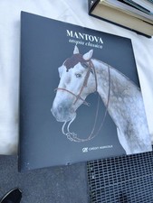 Libro mantova utopia usato  Parma