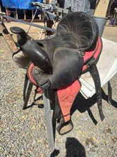 Pink saddle king for sale  Acampo