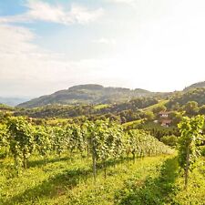 Breve viaggio hotel usato  Spedire a Italy