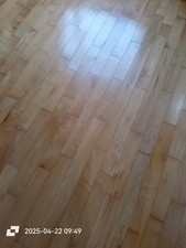 maple flooring for sale  ROTHERHAM