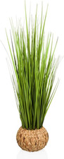 Hjh ffice cortaderia gebraucht kaufen  Berlin