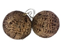 Pheasant quail feather for sale  Bessemer