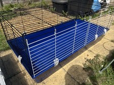 Large rabbit guinea for sale  MORETON-IN-MARSH