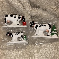 cows heifers for sale  Saint Paul