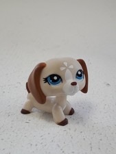 lps dogs for sale lps dogs for sale RUGBY
