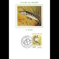Carte maximum poisson d'occasion  Crécy-la-Chapelle
