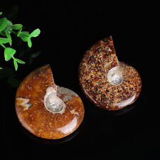 Iridescent ammonite facet for sale  Ireland