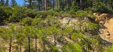 Acre unpatented gold for sale  Grass Valley