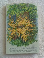 Bestimmungsbuch bäume sträuc gebraucht kaufen Bestimmungsbuch bäume sträuc gebraucht kaufen  Wolfsburg