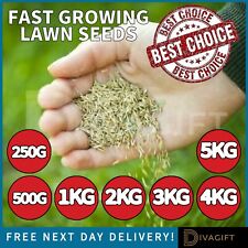 Grass seeds fast for sale  AYLESBURY