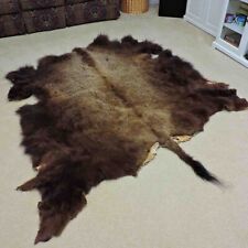 Bison buffalo hide for sale  Mckinney