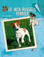 Jack russell terrier d'occasion  France