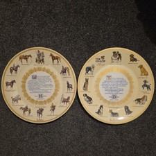 Aynsley horse dog for sale  NORTHAMPTON