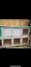 Double rabbit guinea for sale  CAMBERLEY