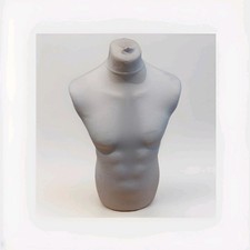Male torso display for sale  BROADSTONE