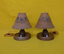 Meravogliosa coppia lampade usato  Vercelli