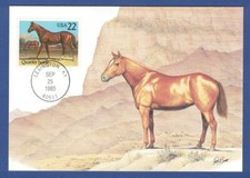 Maximumkarte usa 1985 gebraucht kaufen  Eisenhüttenstadt