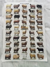 Animal breed posters for sale  READING