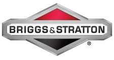 Briggs stratton oem d'occasion  Expédié en Belgium