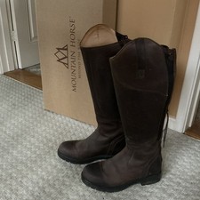 Mountain horse wild for sale  EASTBOURNE