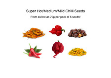 Hot chilli seeds for sale  DEAL