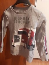 Pullover kinderpulli sweatshir gebraucht kaufen  Waldshut-Tiengen