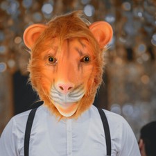 Animal drôle tête d'occasion  Expédié en France